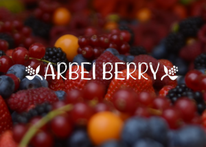 Arbei Berry Font